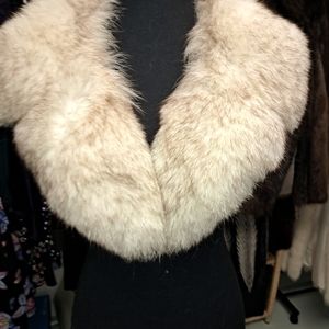 Arctic Fox Fur Collar